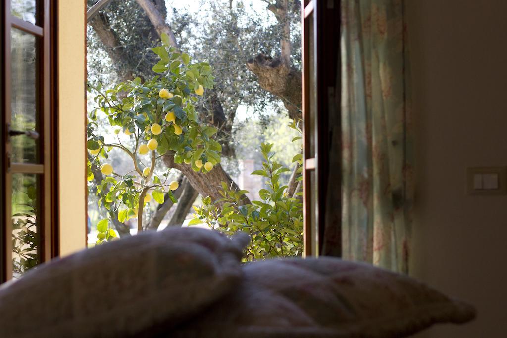 Il Bottaccio Casa Di Campagna Venturina Terme Rum bild